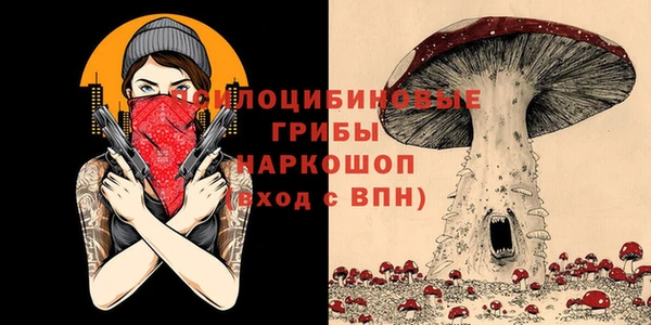 Альфа ПВП Пролетарск