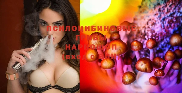 стаф Алексеевка