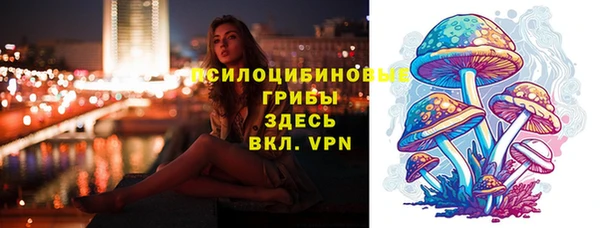 соль ск Алзамай
